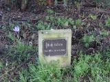 image of grave number 922798